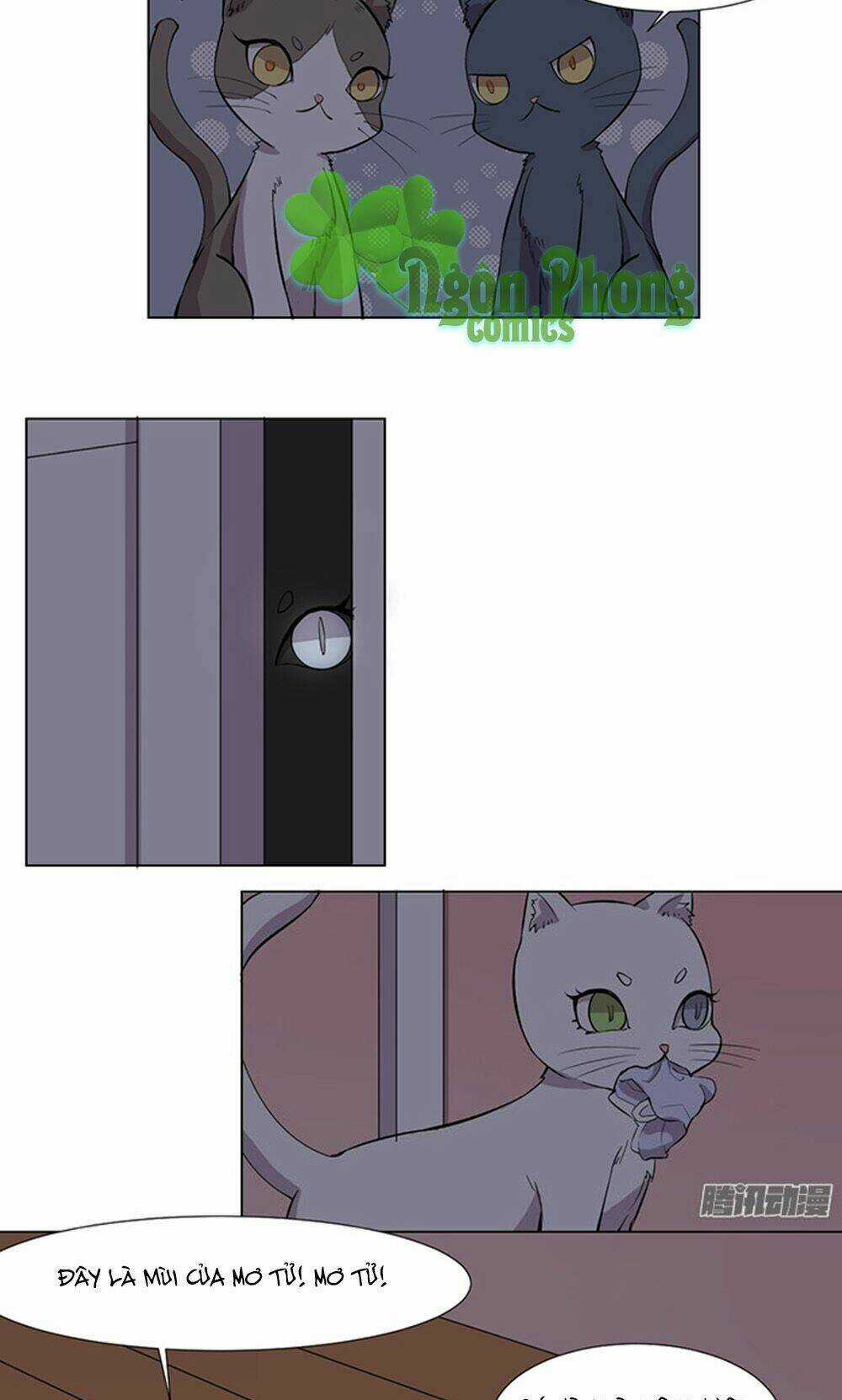 Hai Chú Mèo ToTem Chapter 33 trang 3