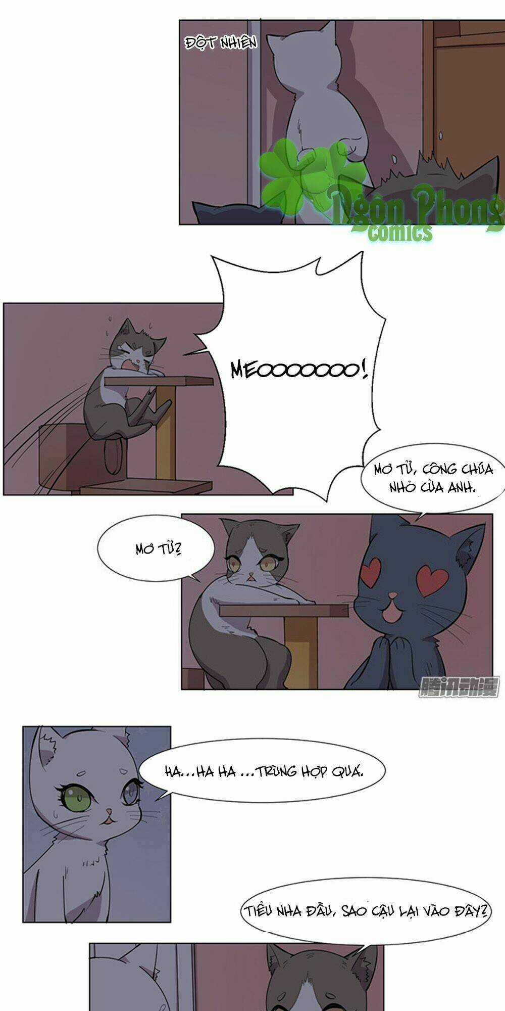Hai Chú Mèo ToTem Chapter 33 trang 5