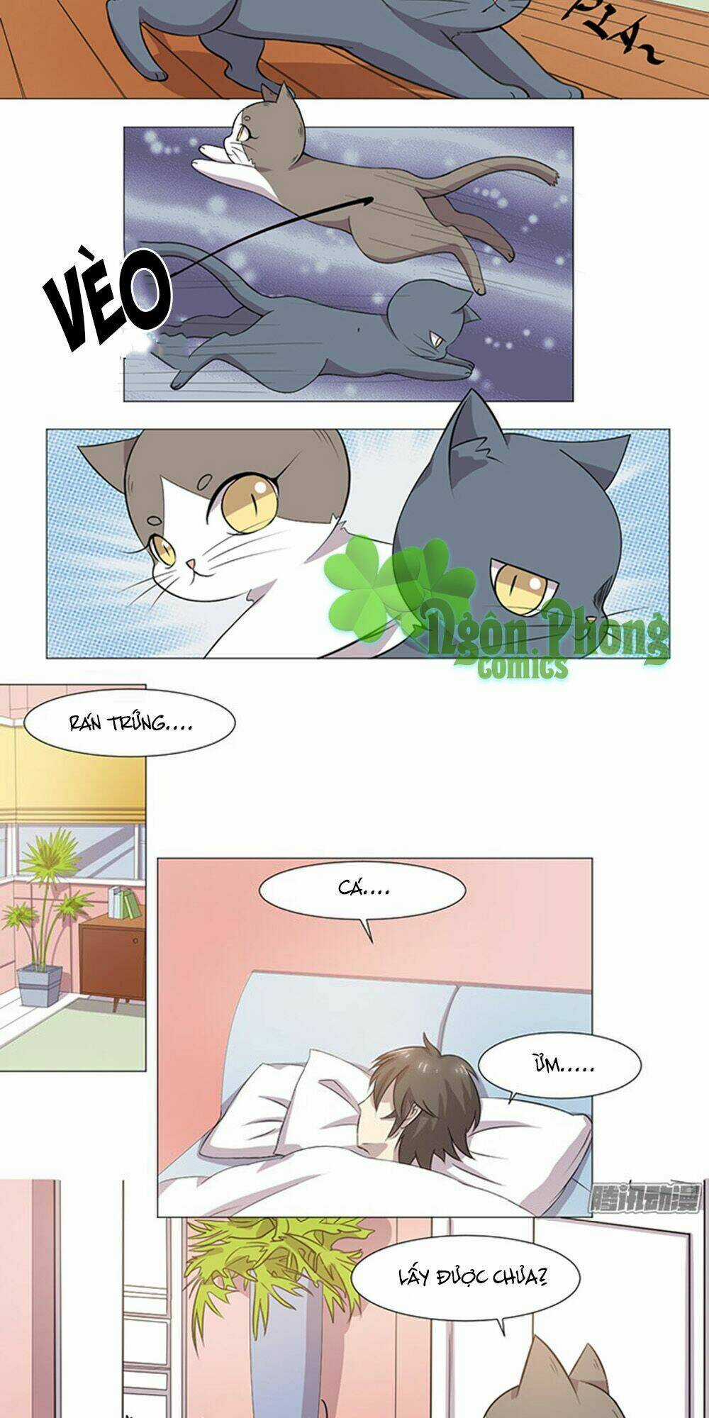 Hai Chú Mèo ToTem Chapter 35 trang 2