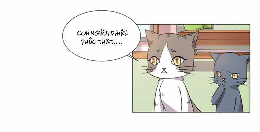 Hai Chú Mèo ToTem Chapter 36 trang 36