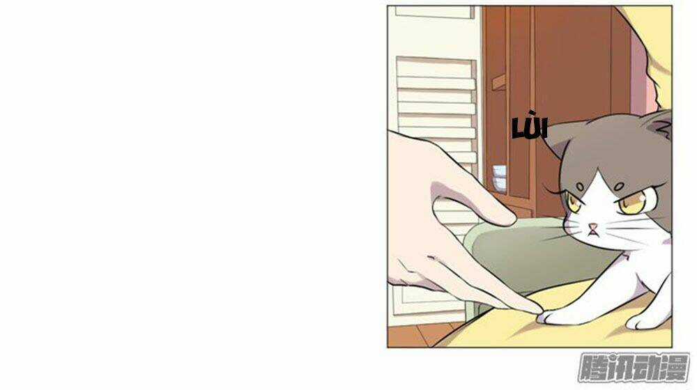 Hai Chú Mèo ToTem Chapter 36 trang 4