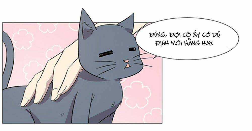 Hai Chú Mèo ToTem Chapter 37 trang 19
