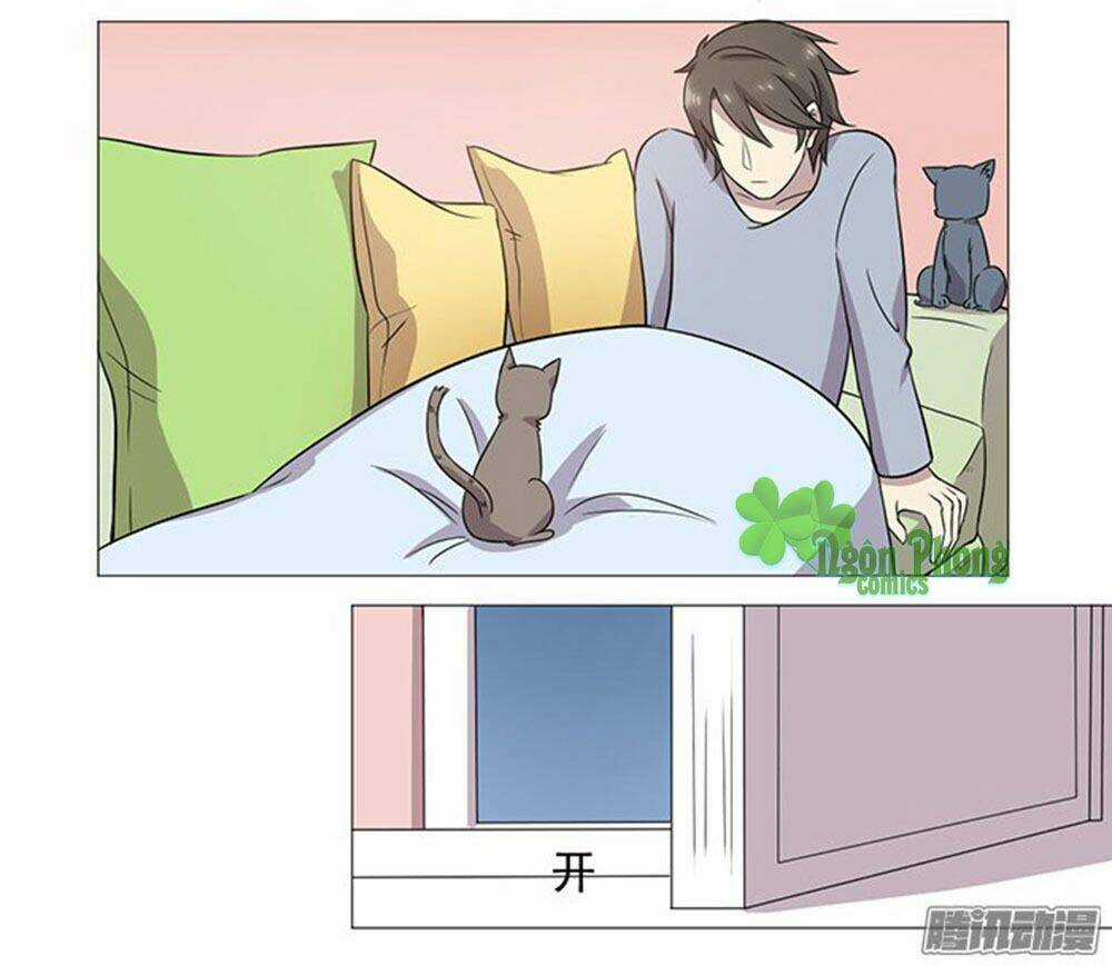 Hai Chú Mèo ToTem Chapter 37 trang 47