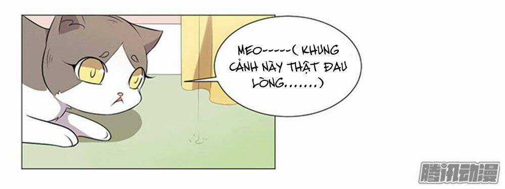 Hai Chú Mèo ToTem Chapter 37 trang 62