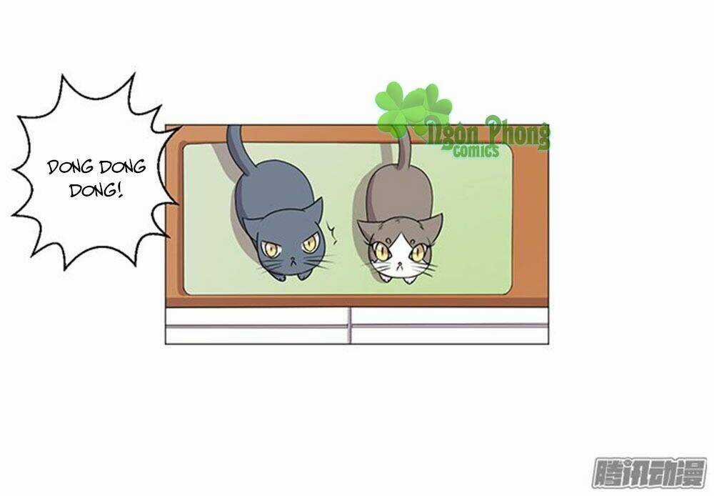 Hai Chú Mèo ToTem Chapter 38 trang 21