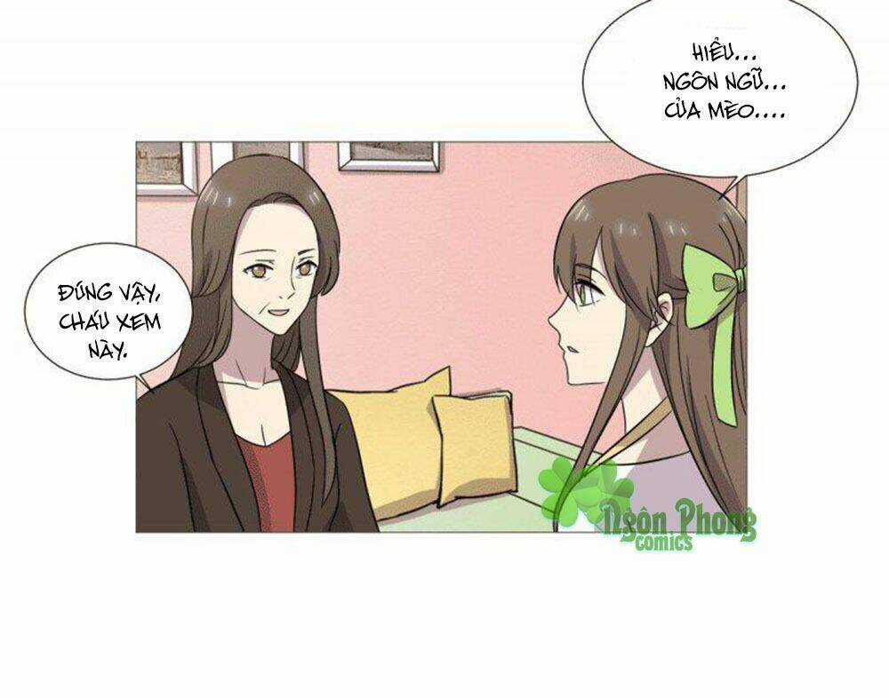 Hai Chú Mèo ToTem Chapter 38 trang 47