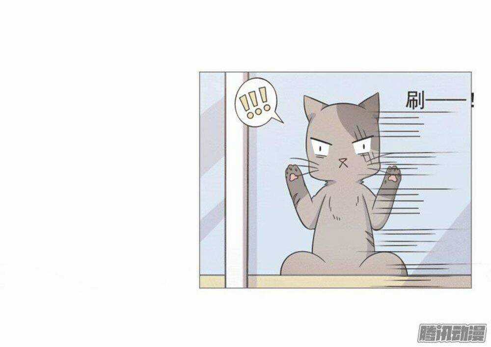 Hai Chú Mèo ToTem Chapter 38 trang 49