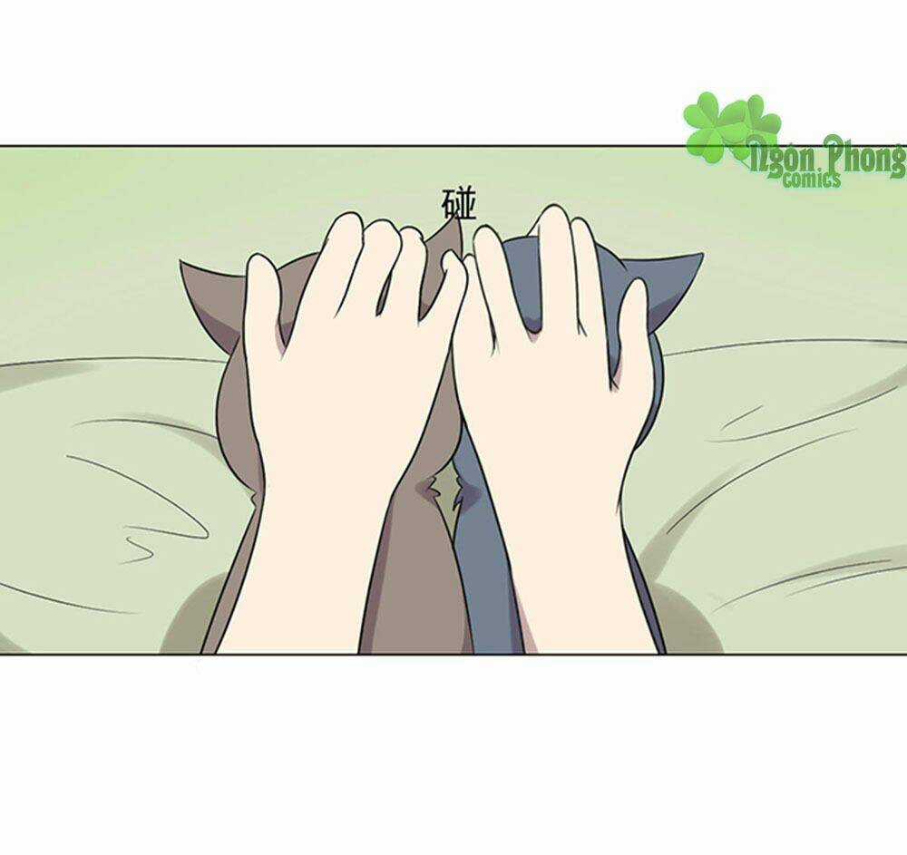 Hai Chú Mèo ToTem Chapter 39 trang 20