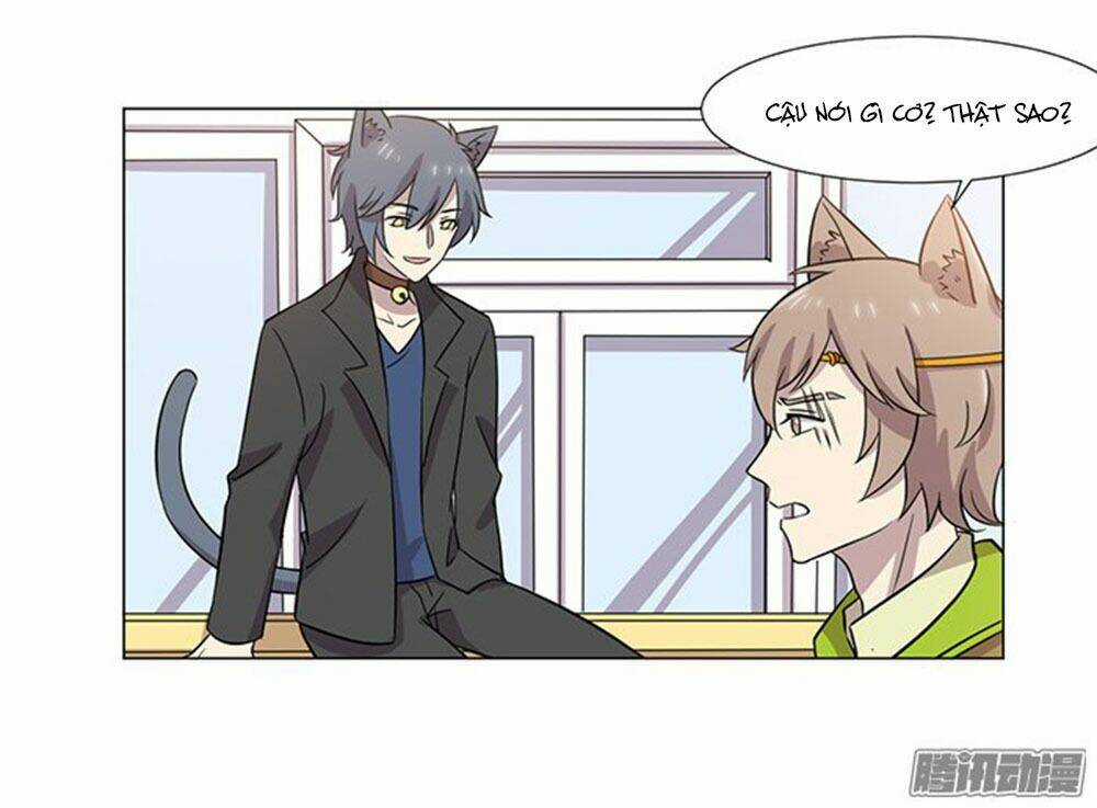 Hai Chú Mèo ToTem Chapter 39 trang 24