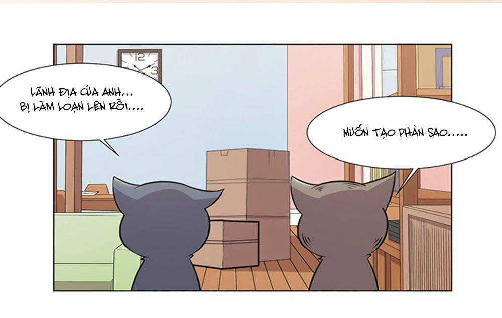 Hai Chú Mèo ToTem Chapter 39 trang 42