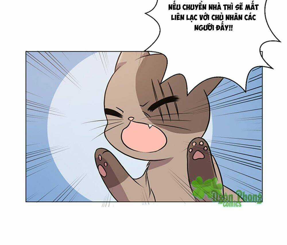 Hai Chú Mèo ToTem Chapter 39 trang 45