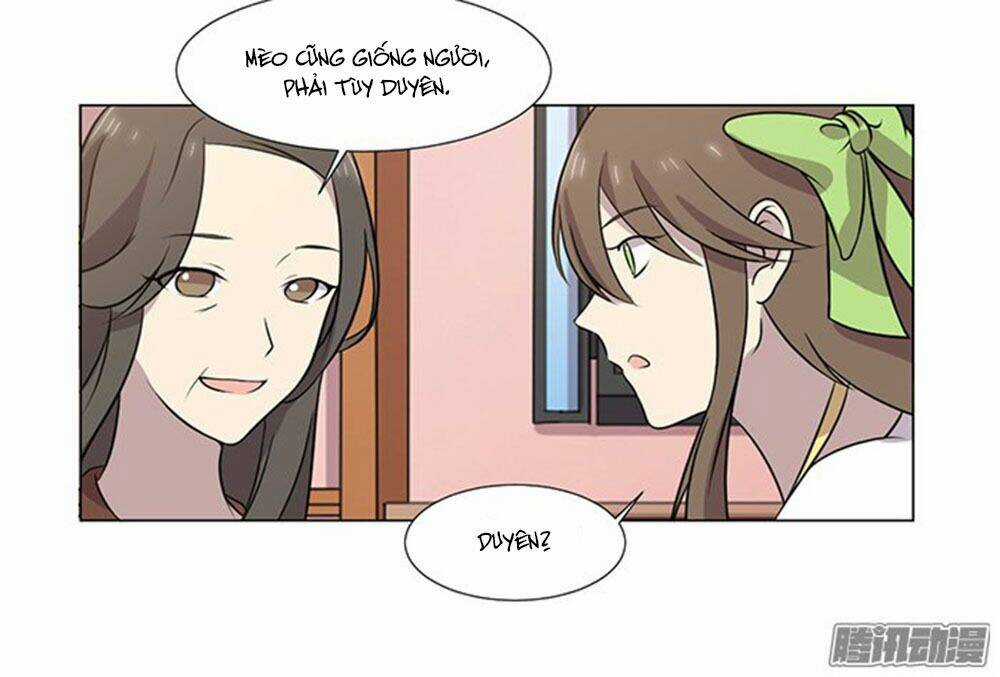 Hai Chú Mèo ToTem Chapter 39 trang 49