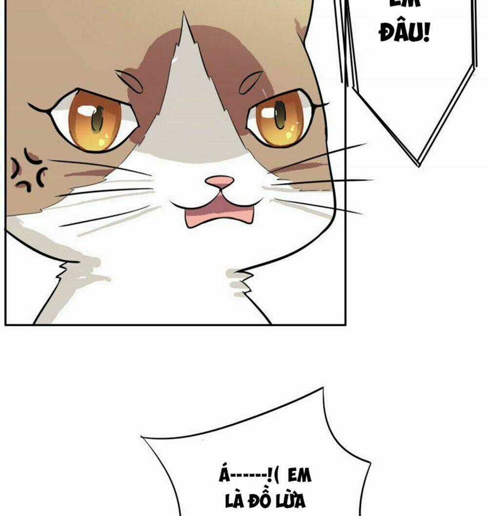 Hai Chú Mèo ToTem Chapter 4 trang 21