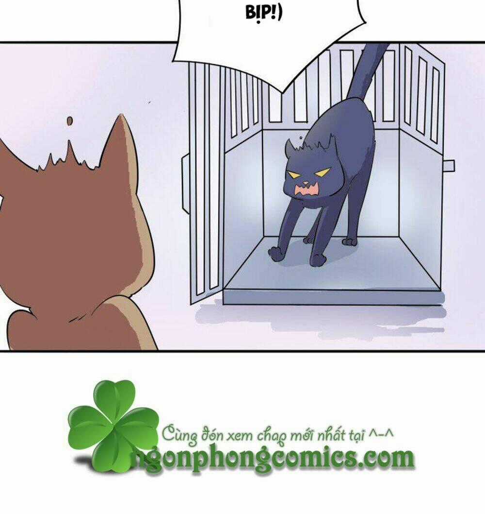 Hai Chú Mèo ToTem Chapter 4 trang 22