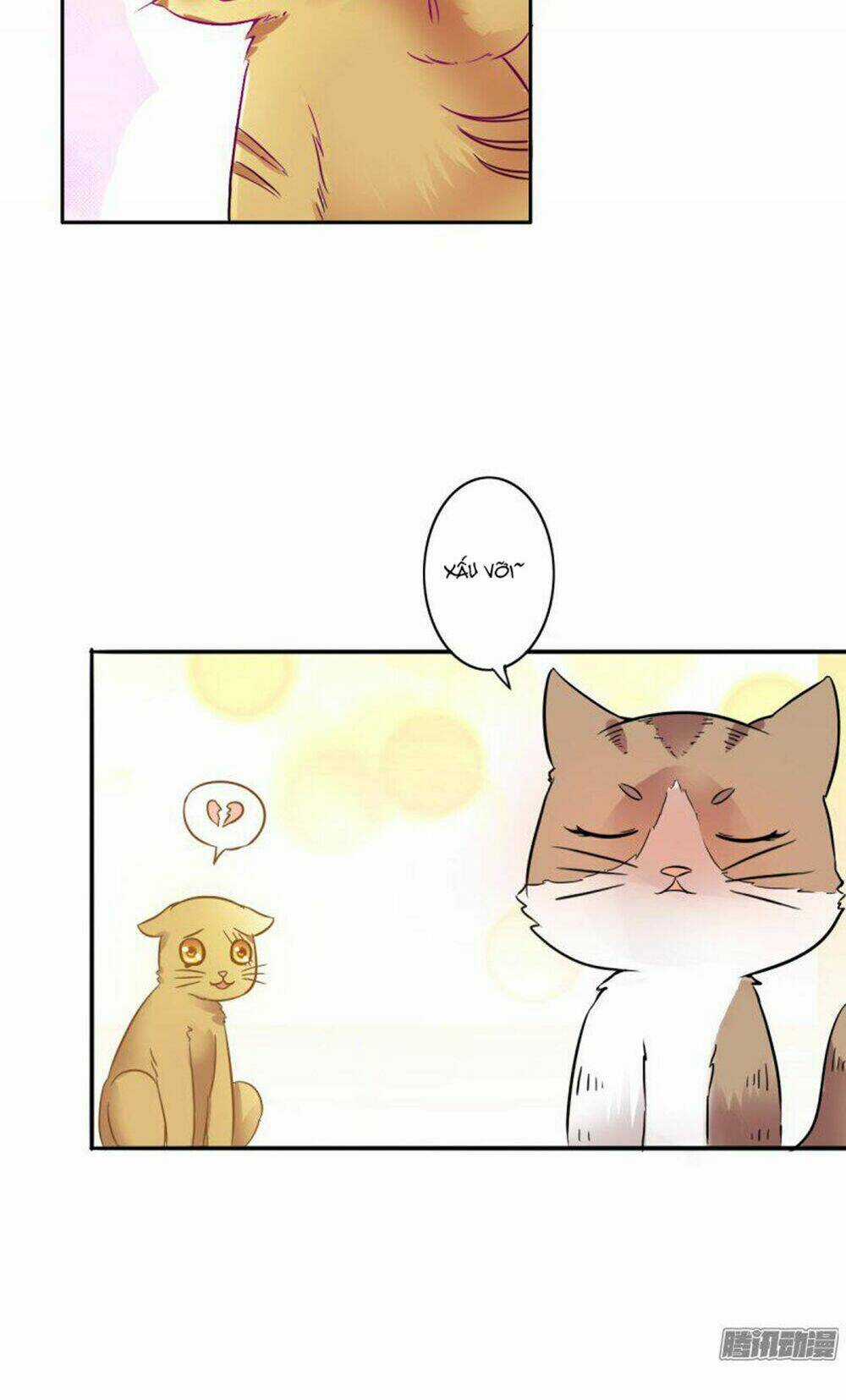 Hai Chú Mèo ToTem Chapter 4 trang 5