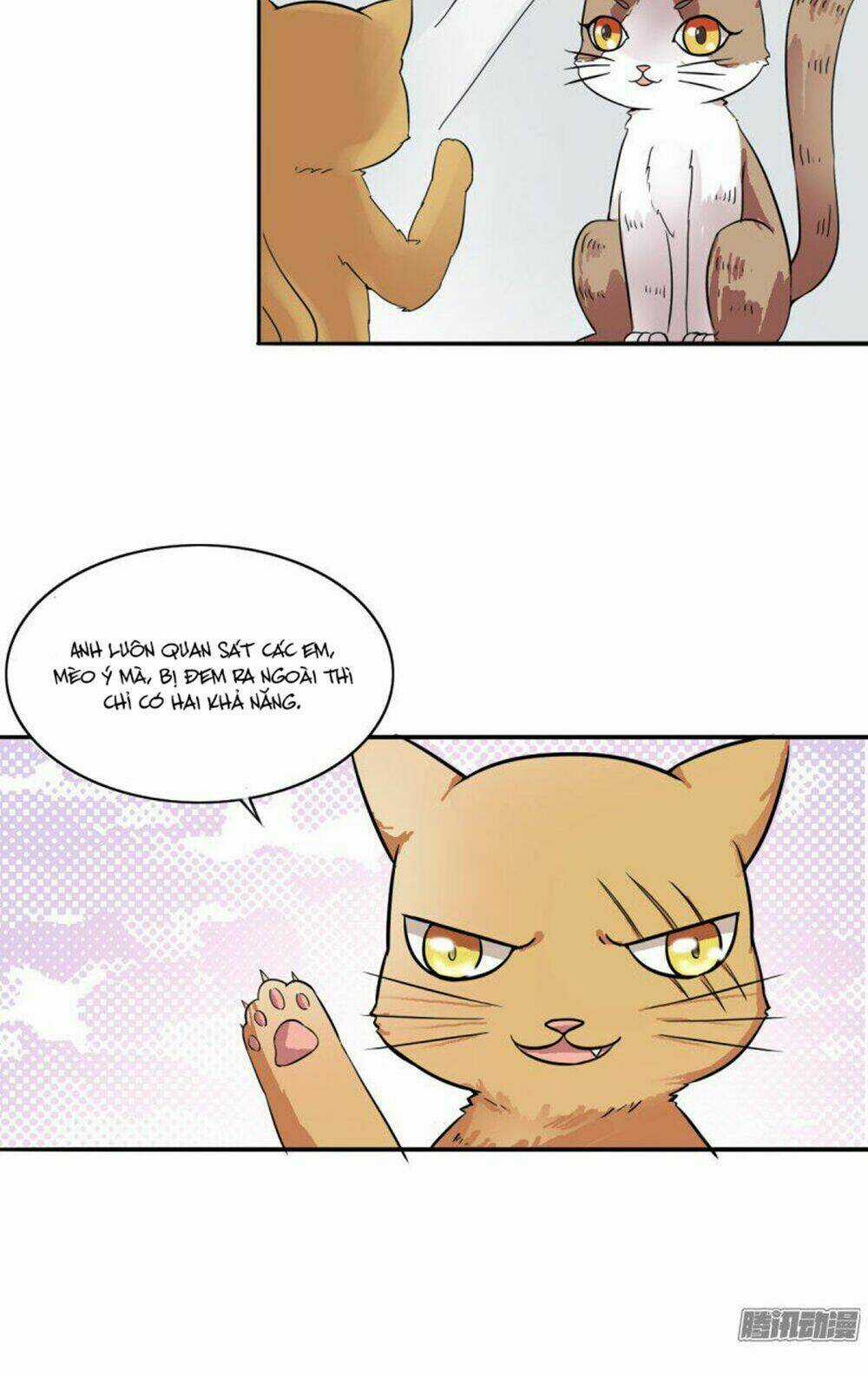 Hai Chú Mèo ToTem Chapter 4 trang 7