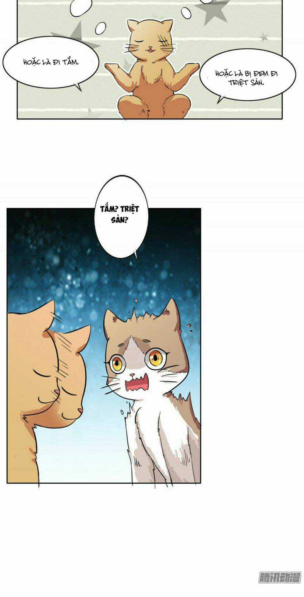 Hai Chú Mèo ToTem Chapter 4 trang 9