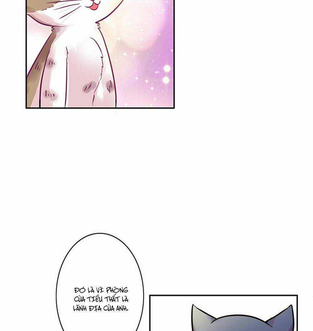 Hai Chú Mèo ToTem Chapter 6 trang 5