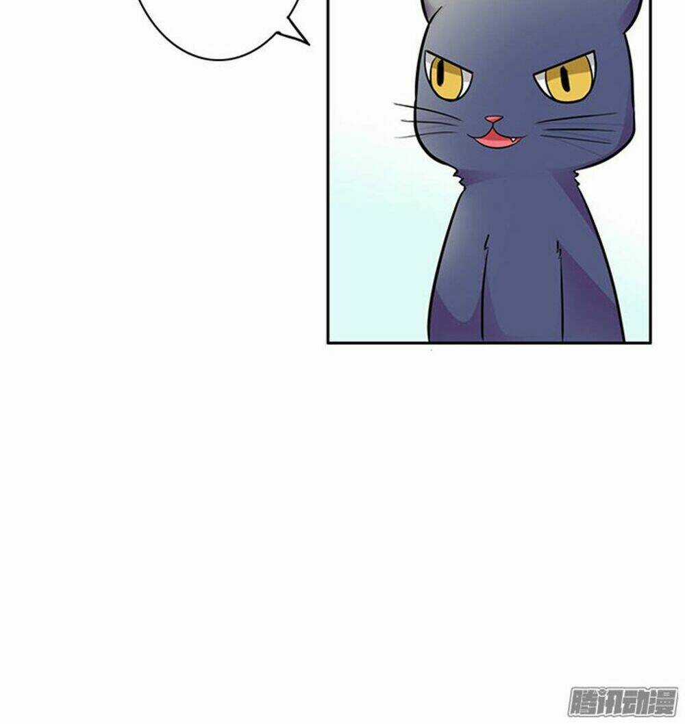 Hai Chú Mèo ToTem Chapter 6 trang 6