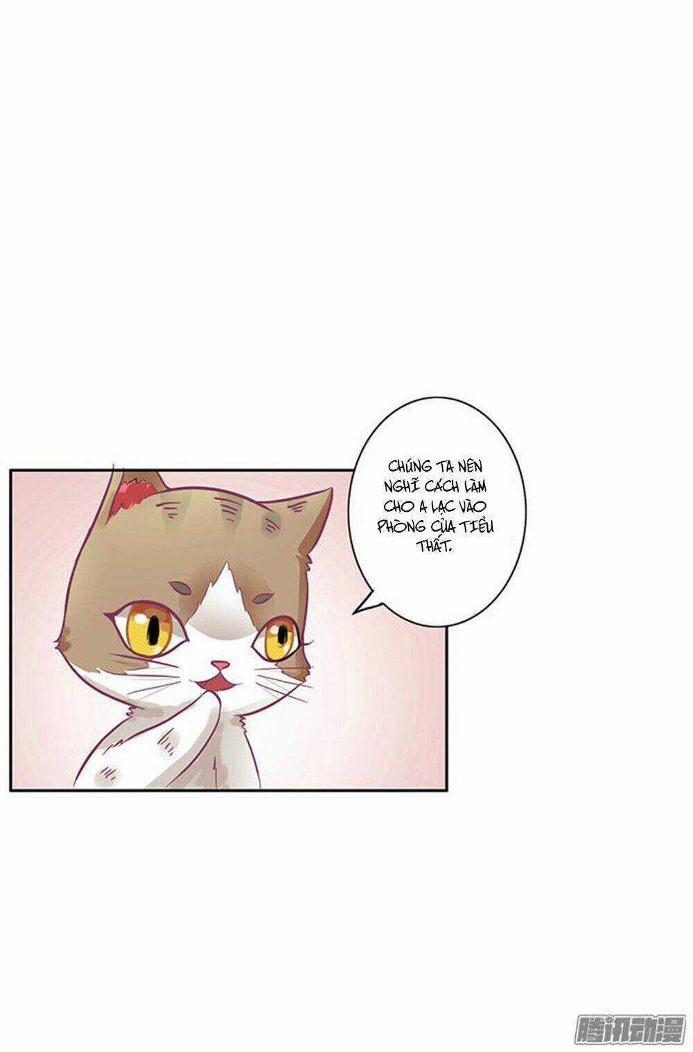 Hai Chú Mèo ToTem Chapter 6 trang 9