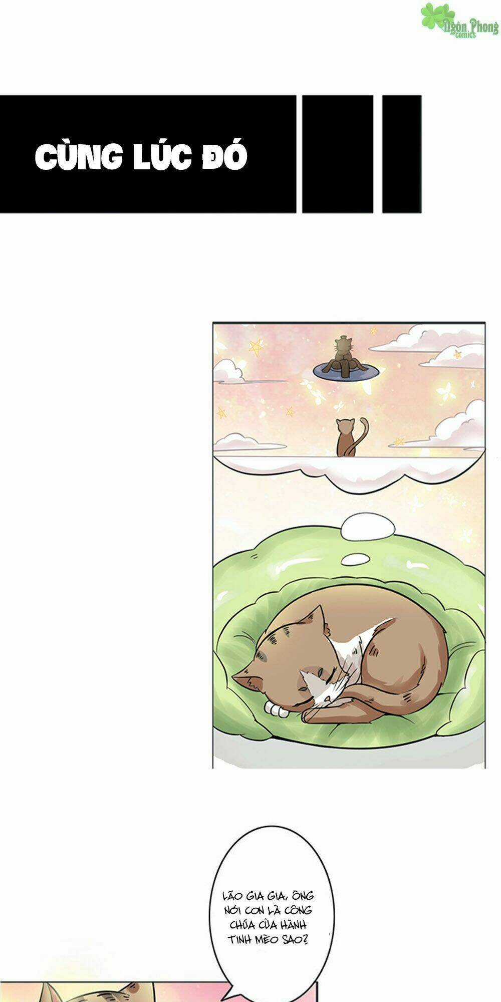 Hai Chú Mèo ToTem Chapter 8 trang 2