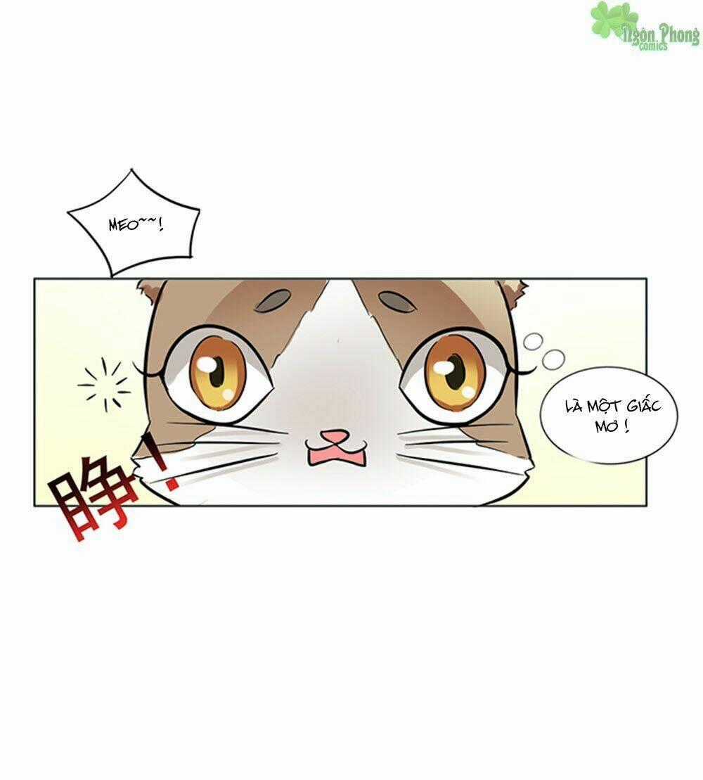 Hai Chú Mèo ToTem Chapter 8 trang 21