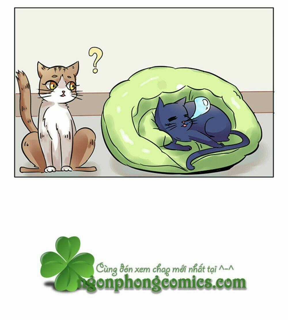 Hai Chú Mèo ToTem Chapter 8 trang 22