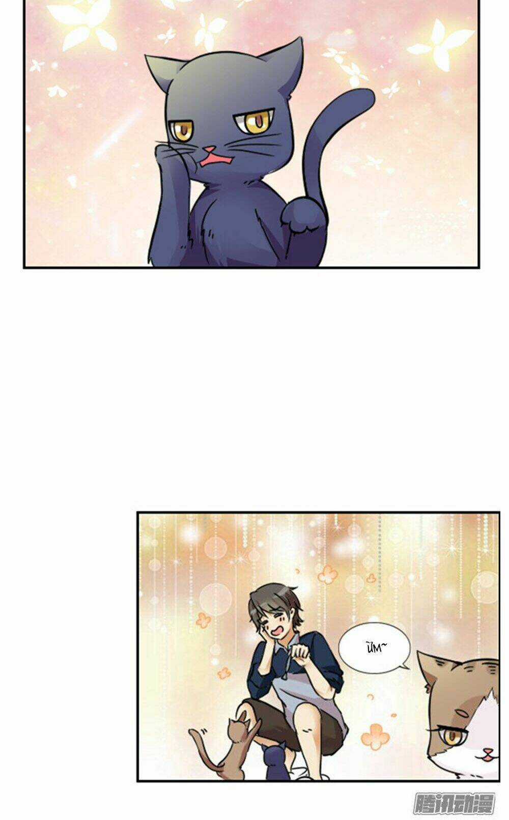 Hai Chú Mèo ToTem Chapter 9 trang 13