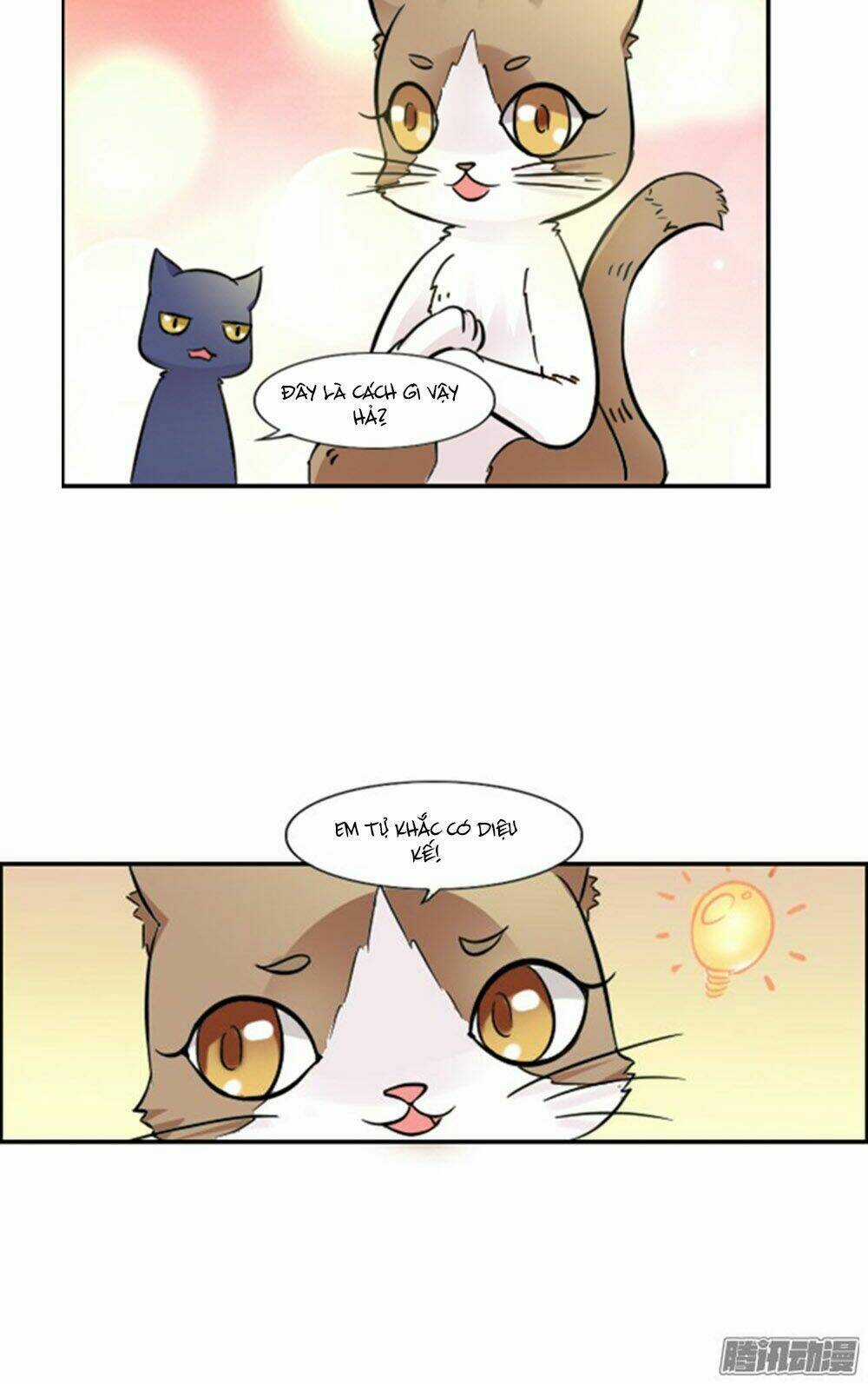 Hai Chú Mèo ToTem Chapter 9 trang 15