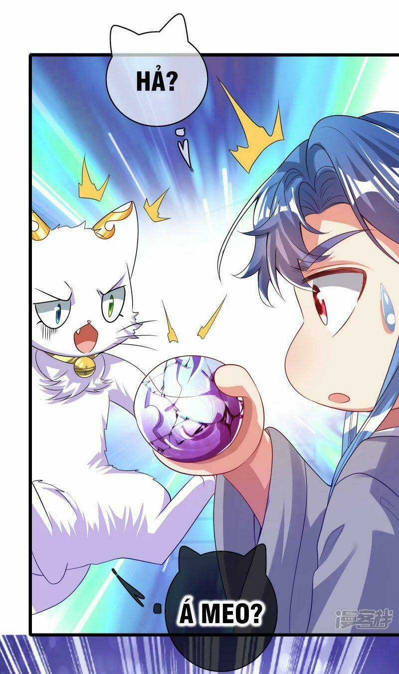 Hài Đế Vi Tôn Chapter 137 trang 11