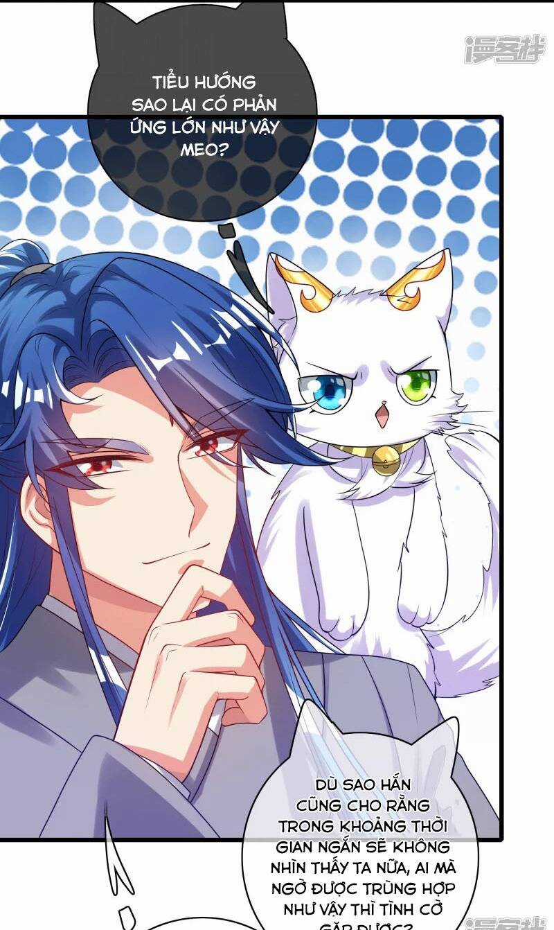 Hài Đế Vi Tôn Chapter 146 trang 11