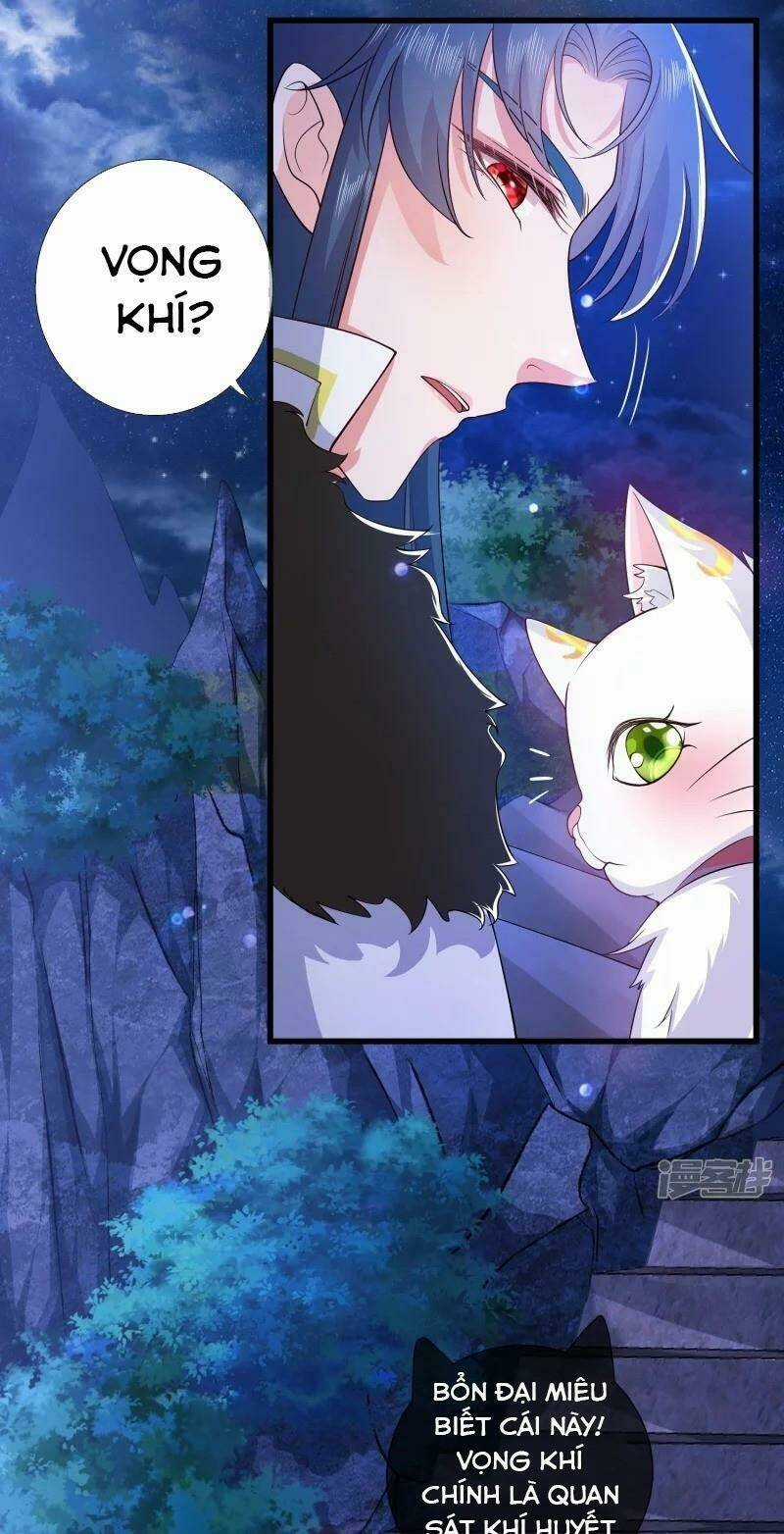 Hài Đế Vi Tôn Chapter 9 trang 4