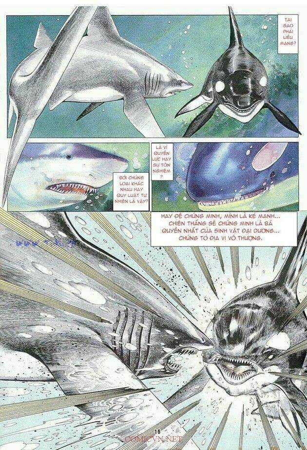 Hải Hổ 1 Chapter 4 trang 14