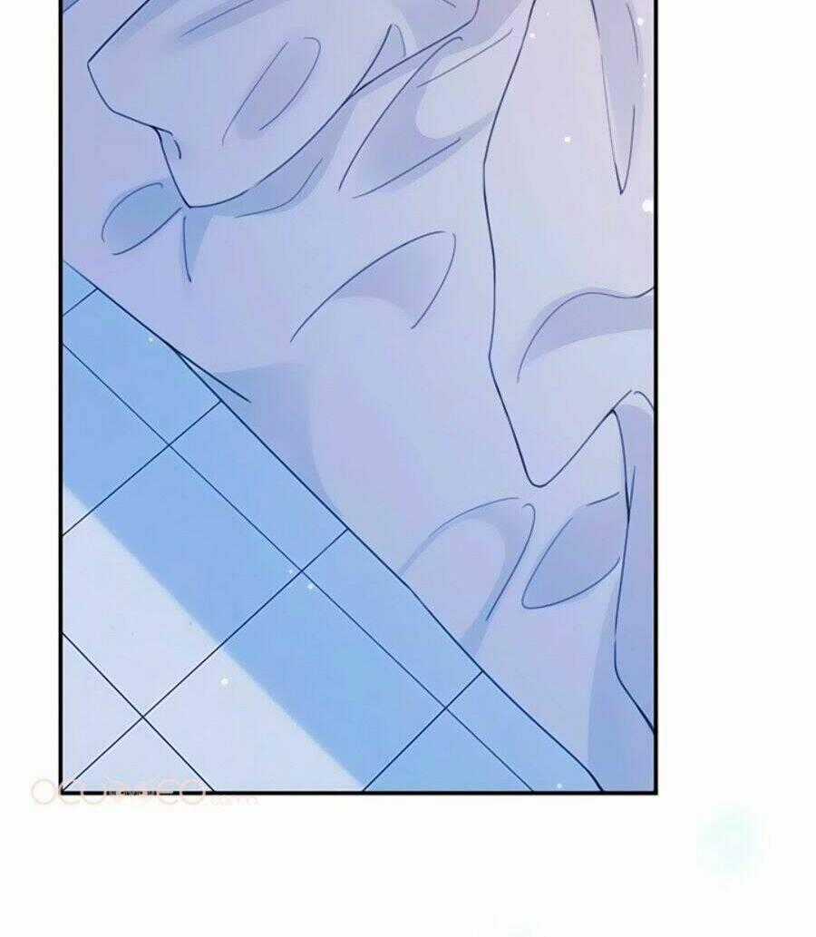 Hai Mặt Cuốn Hút Của Anh Chapter 2 trang 1