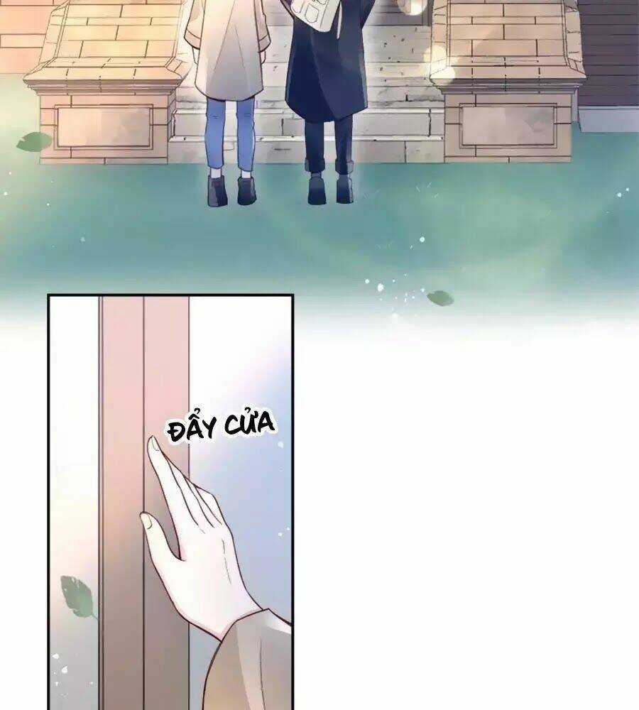 Hai Mặt Cuốn Hút Của Anh Chapter 28 trang 31