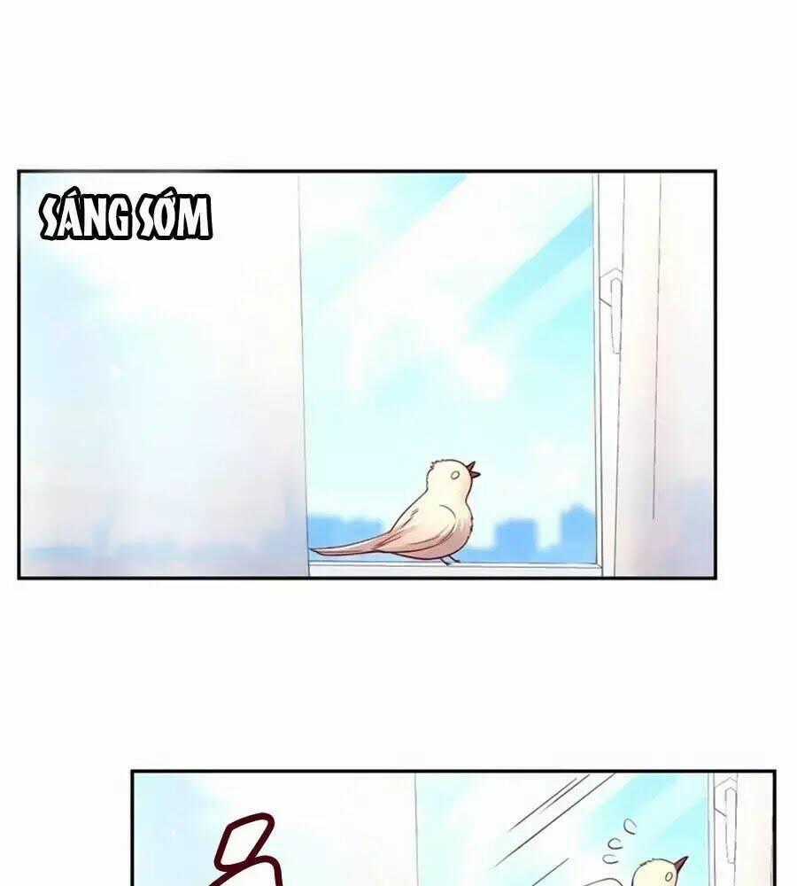 Hai Mặt Cuốn Hút Của Anh Chapter 34 trang 0