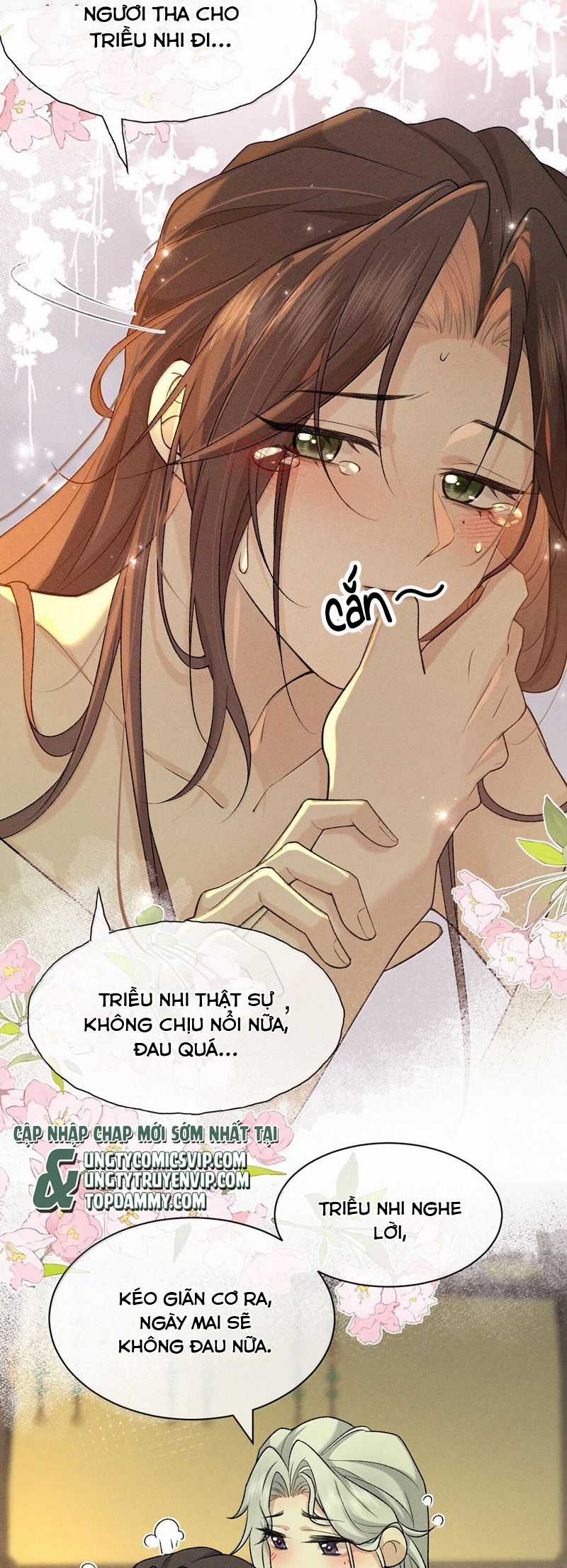 Hải Vương Sau Khi Hoàn Lương Sa Vào Tu La Tràng Chapter 15 trang 24