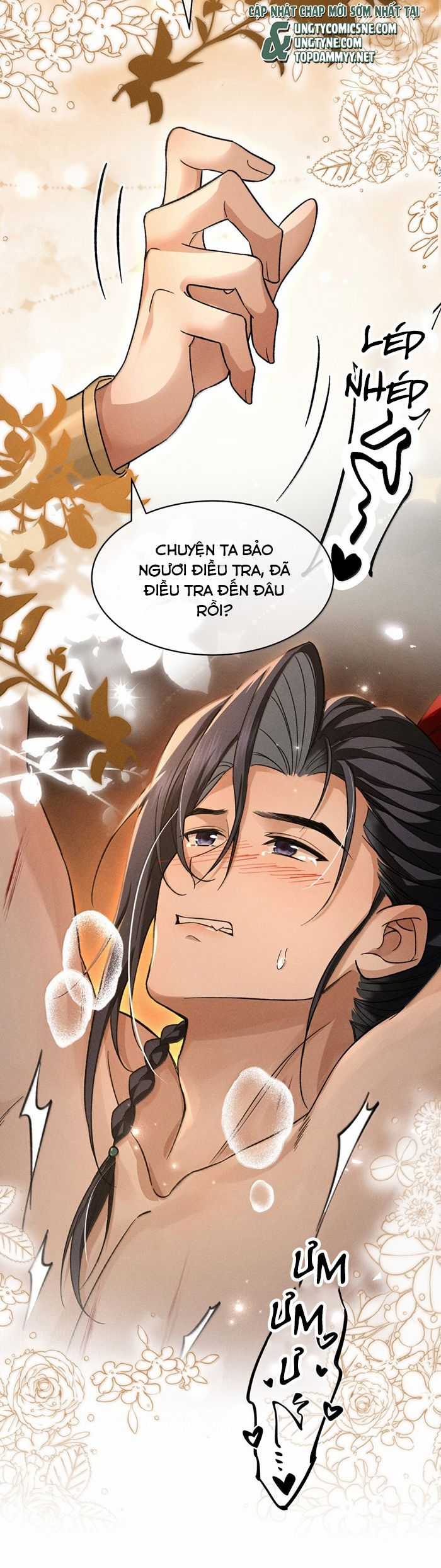 Hải Vương Sau Khi Hoàn Lương Sa Vào Tu La Tràng Chapter 28 trang 11