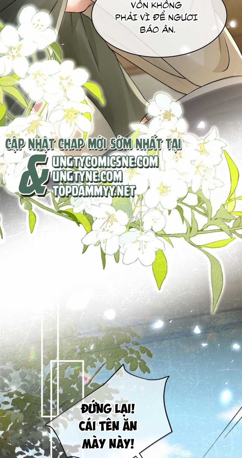 Hải Vương Sau Khi Hoàn Lương Sa Vào Tu La Tràng Chapter 31 trang 29