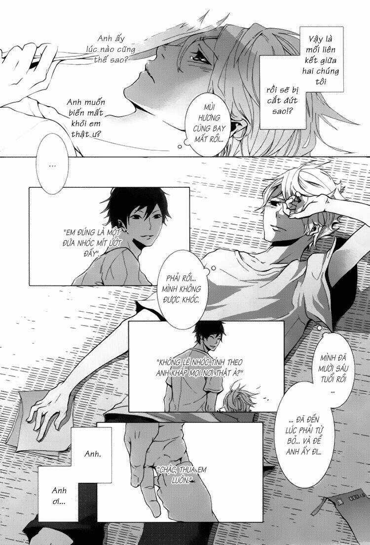 Haikei, Niisan Sama Chapter 1 trang 18