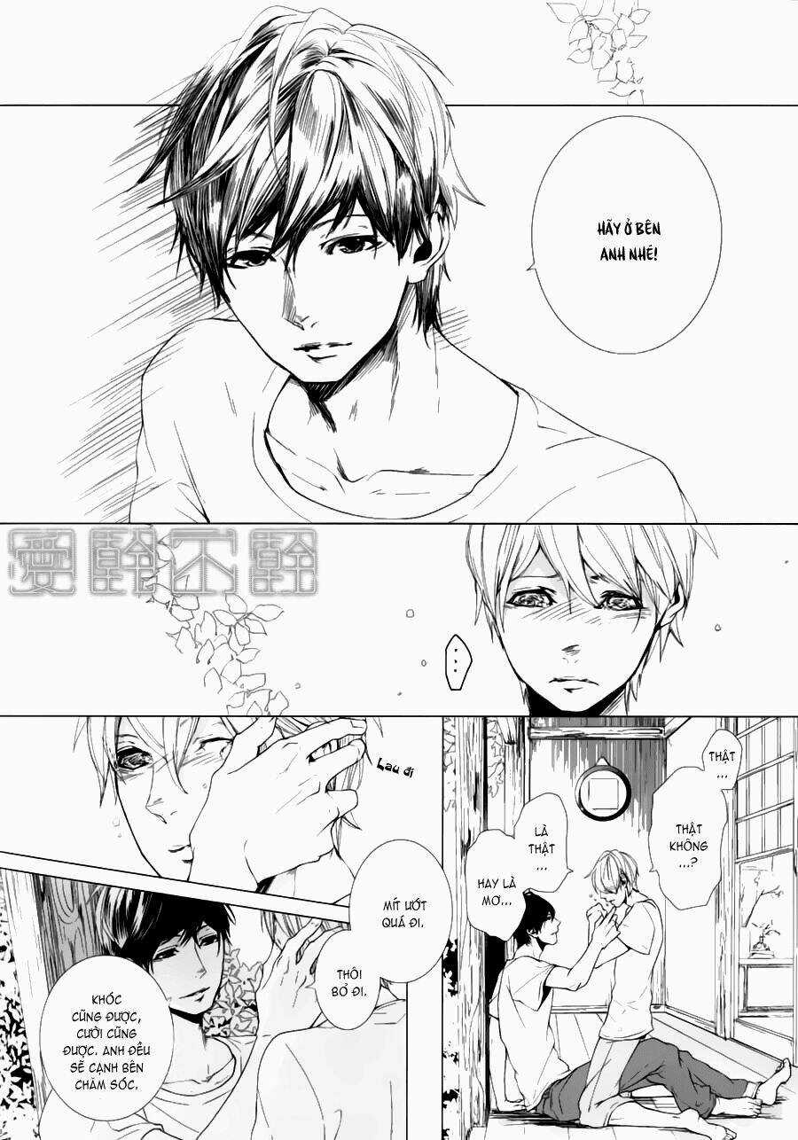 Haikei, Niisan Sama Chapter 10 trang 16