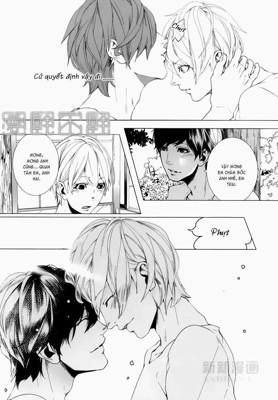 Haikei, Niisan Sama Chapter 10 trang 17