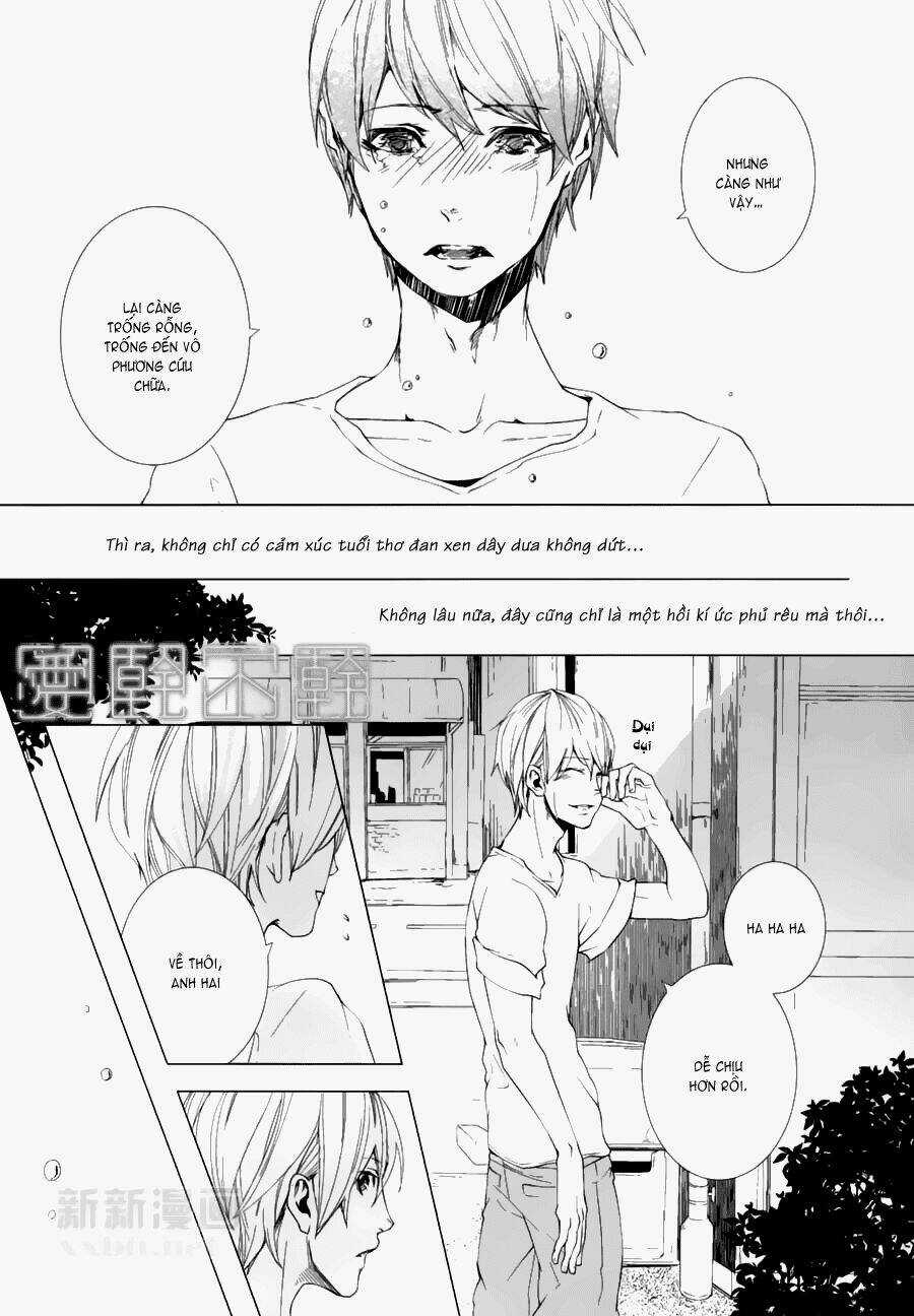 Haikei, Niisan Sama Chapter 10 trang 5