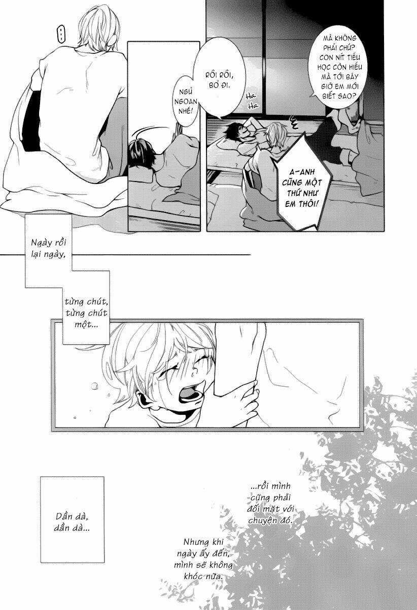 Haikei, Niisan Sama Chapter 3 trang 11