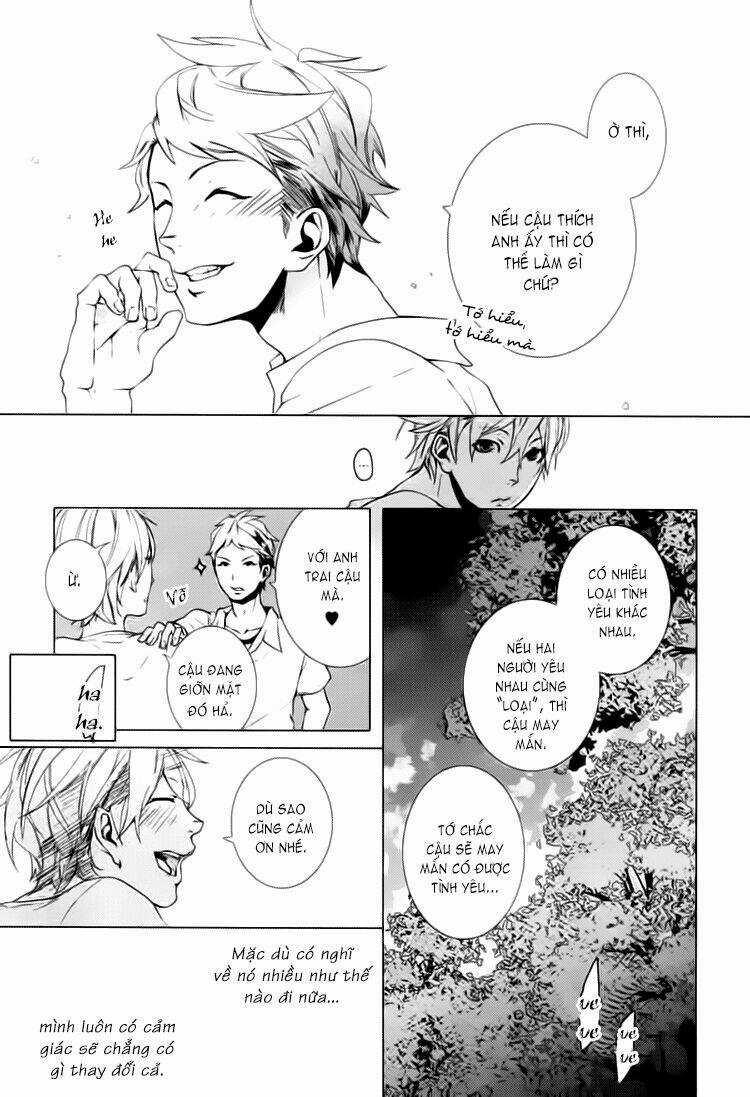 Haikei, Niisan Sama Chapter 6 trang 13