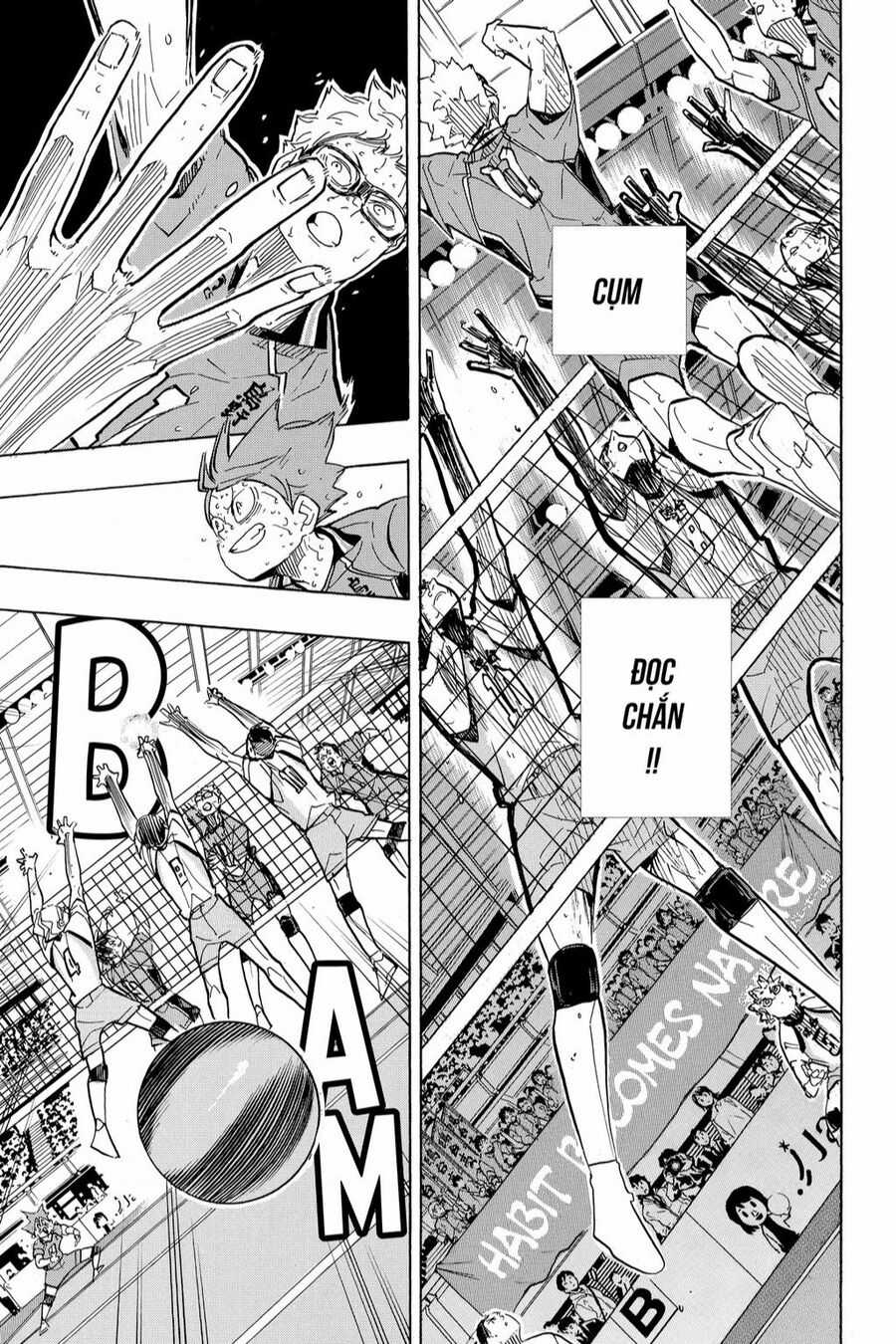 Haikyuu Chapter 364 trang 12