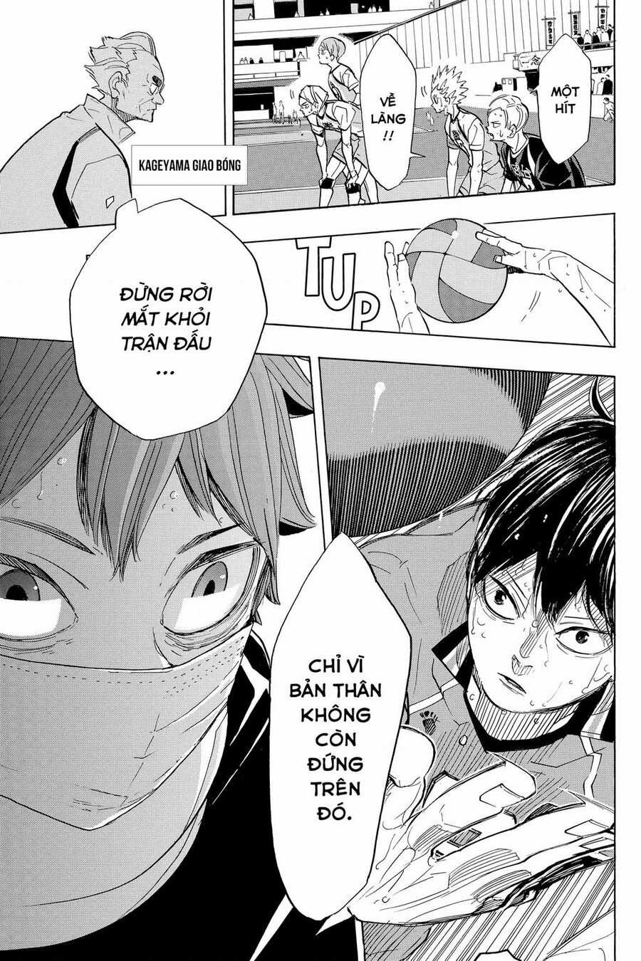 Haikyuu Chapter 366 trang 20