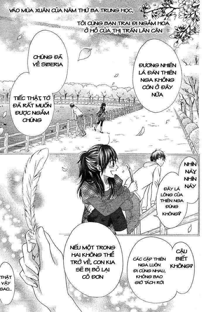 Hajimari no Niina Chapter 2 trang 4