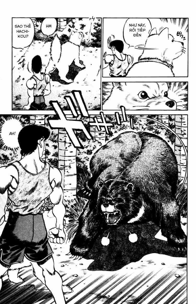 Hajime No Ippo Chapter 229 trang 16