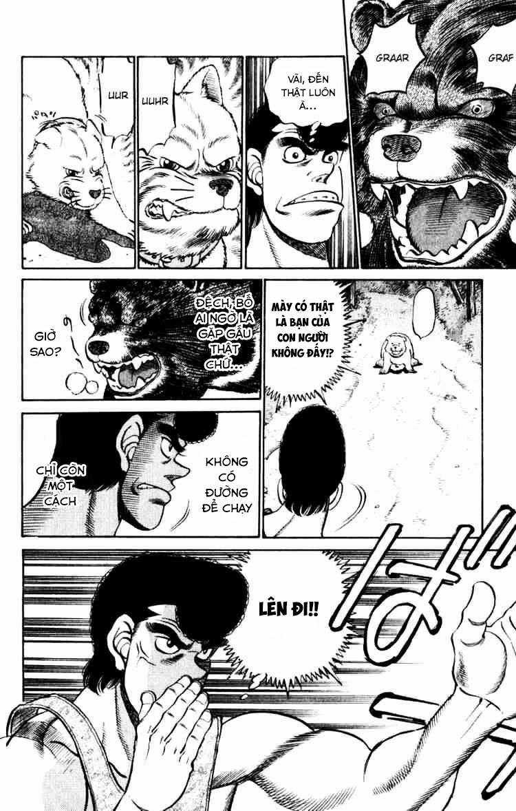 Hajime No Ippo Chapter 229 trang 17